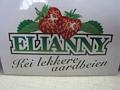 Elianny eerste veiling Fruitmasters Koningsplant john ard leon Vissers aardbeiplanten BV America (9)